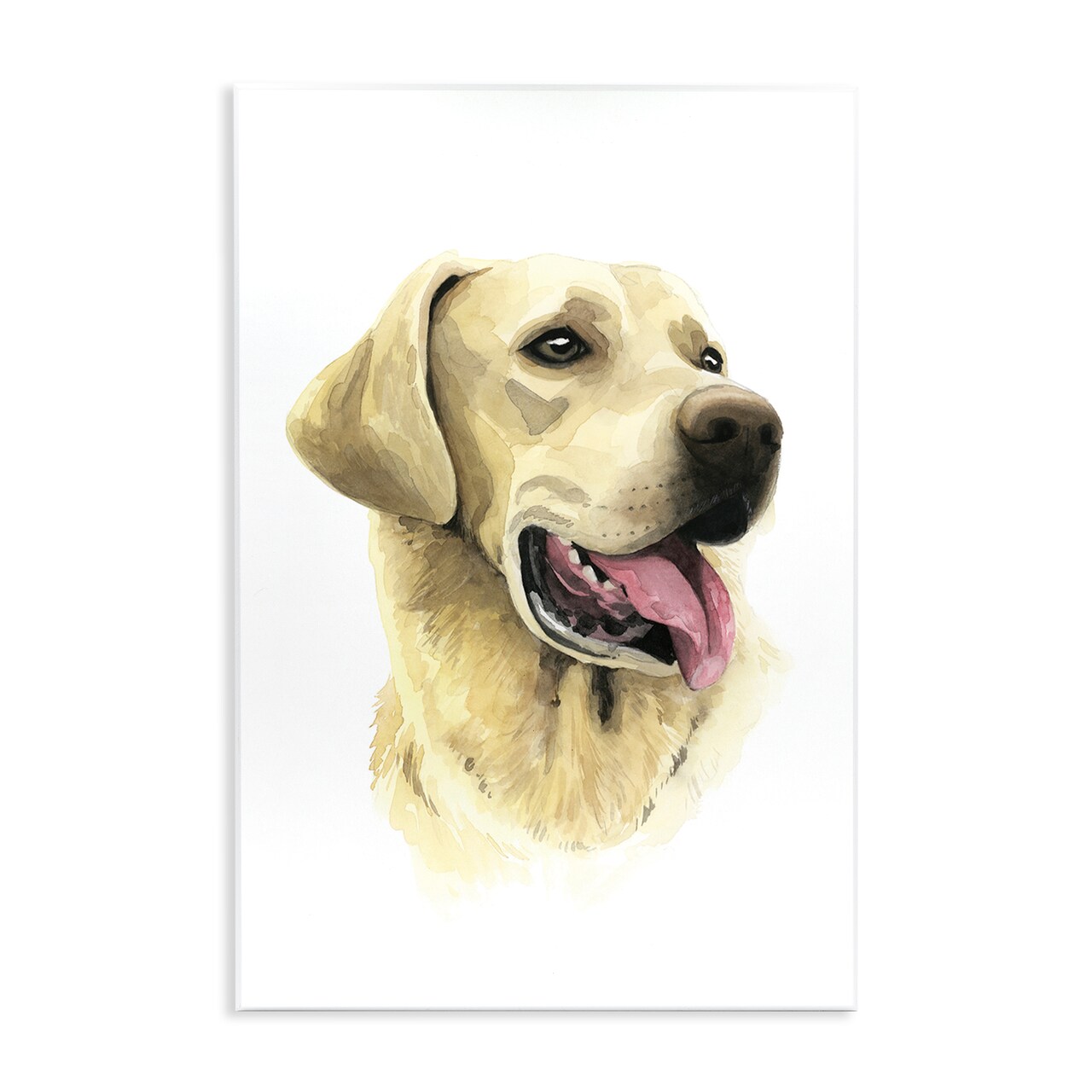 Stupell Industries Labrador Retriever Energetic Portrait Expression Canine Pet Painting Wall Plaque Design By Grace Popp